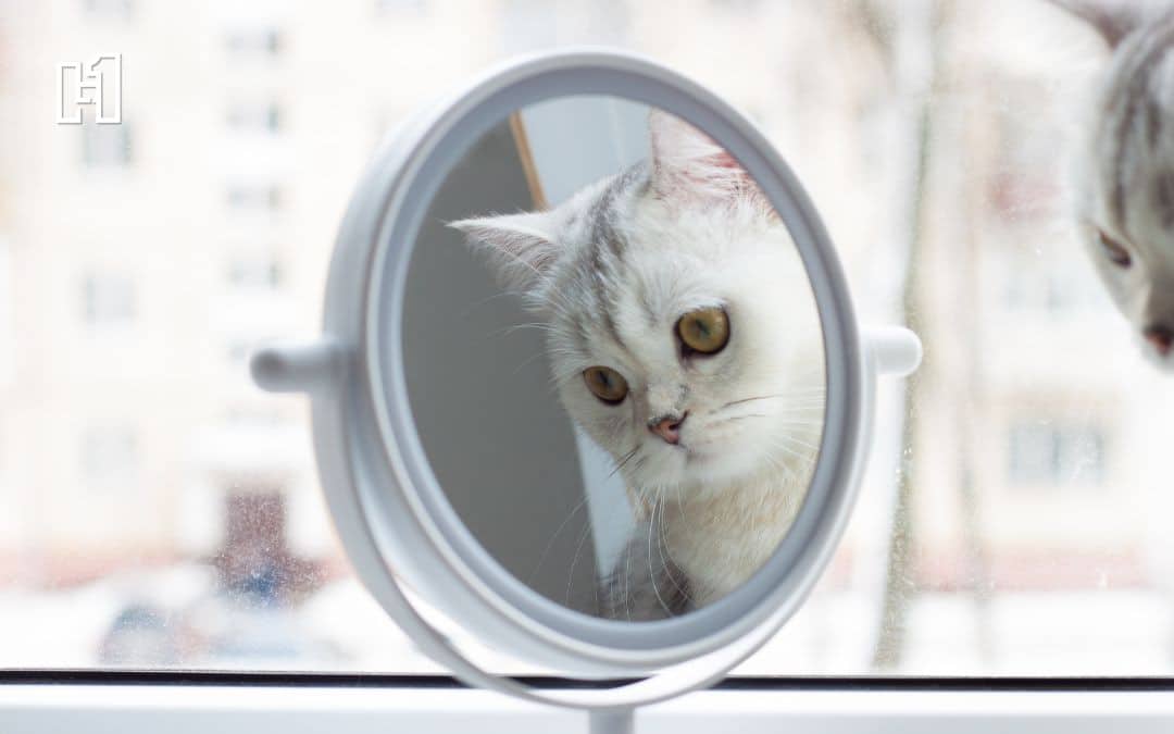 Self-reflection and Starting Fresh: Jos Gets Real on Just Jossin’ Around
