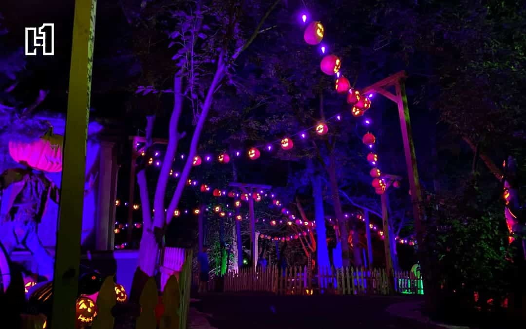 An image of Vala's Pumpkin Patch lit up with pumpkin string lights at night.