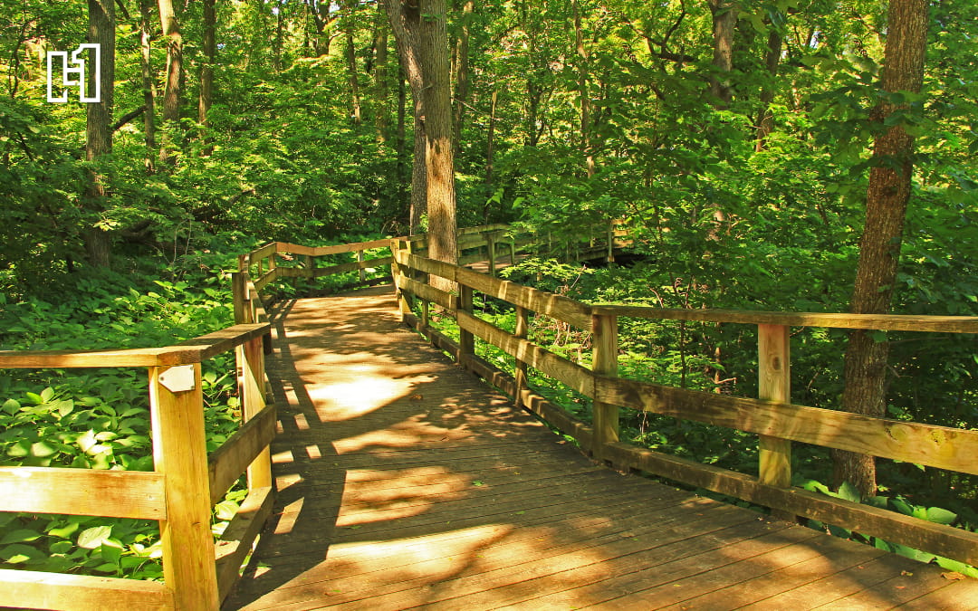 Outdoor walking trail in Omaha with wooden bridge in wooded area