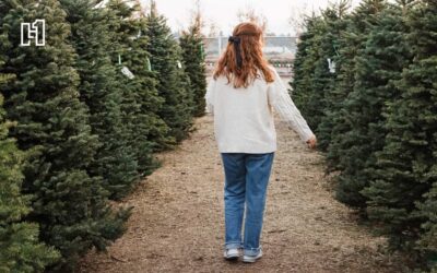 Best Places to Buy Real Christmas Trees Around Omaha