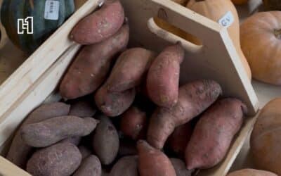 New Omaha Shops Makes Omaha Farmers Market Available Year-Round