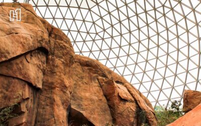 How to See Omaha’s Henry Doorly Zoo in a Single Day