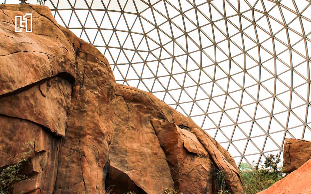 How to See Omaha’s Henry Doorly Zoo in a Single Day