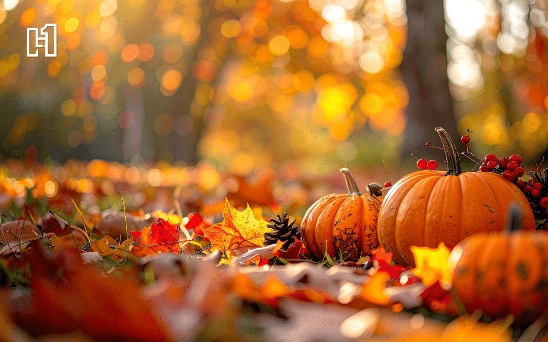 An image of pumpkins and fall leaves on the ground.