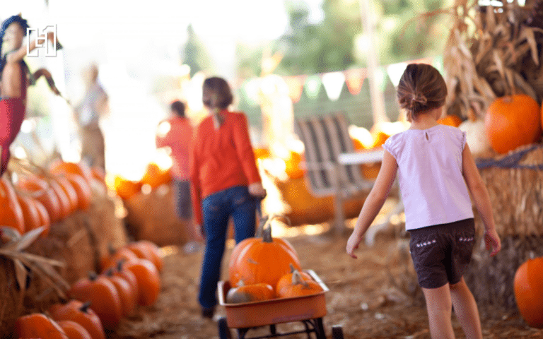 Best Fall Festivals in Omaha and Nearby for 2026