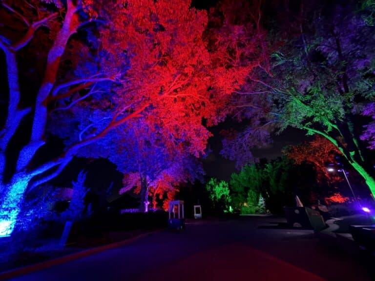 Zootacular at Omaha’s Henry Doorly Zoo: Dates, Tickets & Family Tips