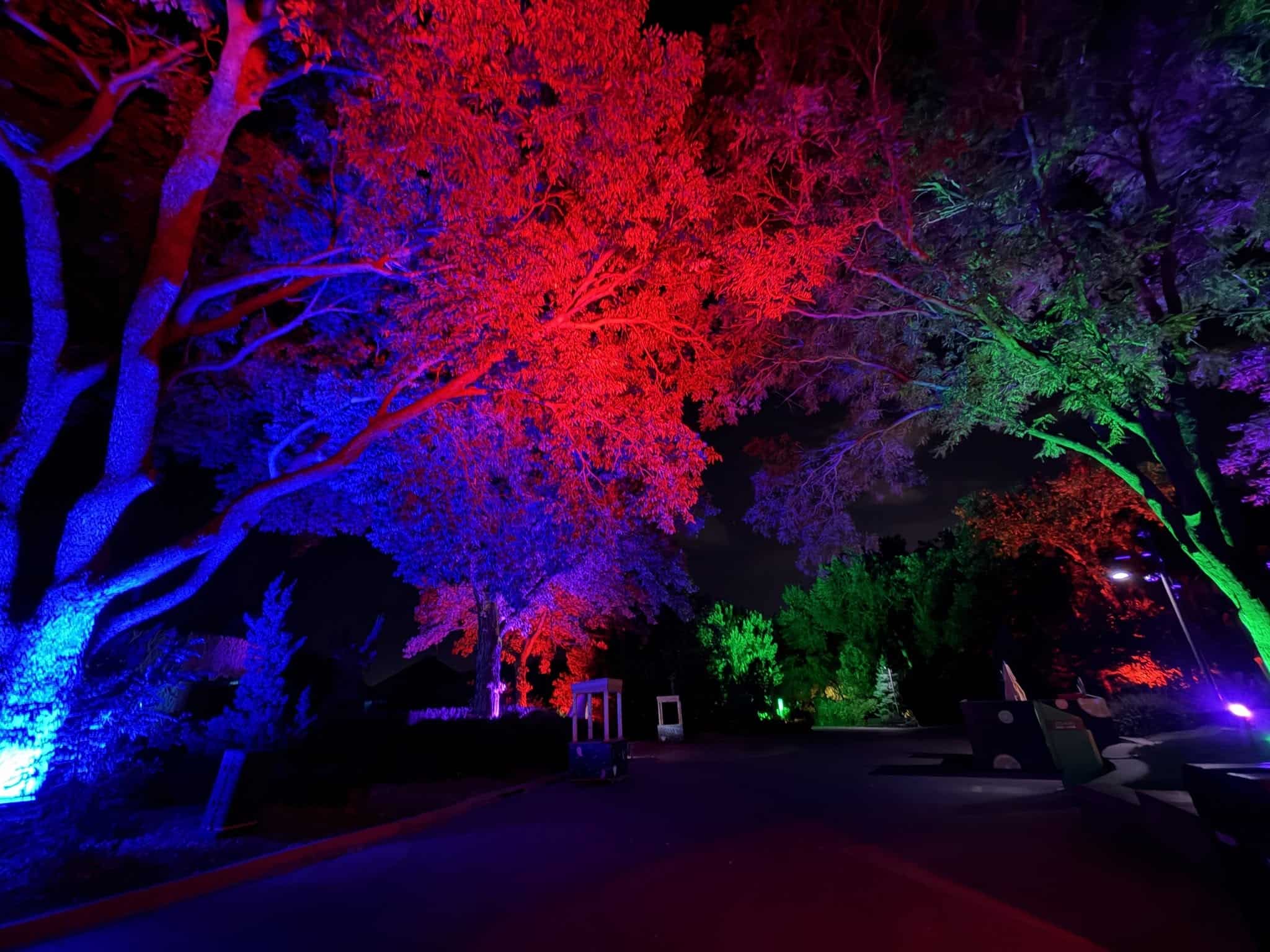 Zootacular at Omaha’s Henry Doorly Zoo: Dates, Tickets & Family Tips